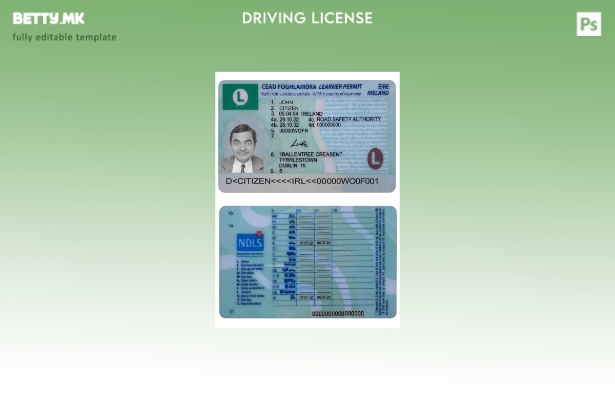 Модерен стил Ирска возачка дозвола (дозвола за ученик) презентиран шаблон